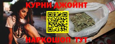 индика Моздок