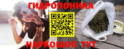 индика Моздок