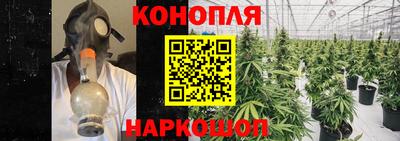 индика Моздок