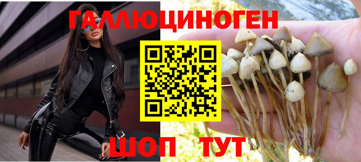 Псилоцибиновые грибы мухоморы  Вход с VPN  Псилоцибиновые грибы мицелий  Самара 